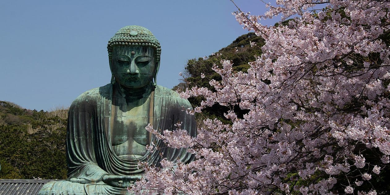 July Sesshin | Seated Meditation Retreat